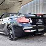 Hamann BMW M235i Cabriolet by DS Automobile  (9)