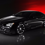 BMW 6-Series Gran Coupe with Black Bison Kit (12)